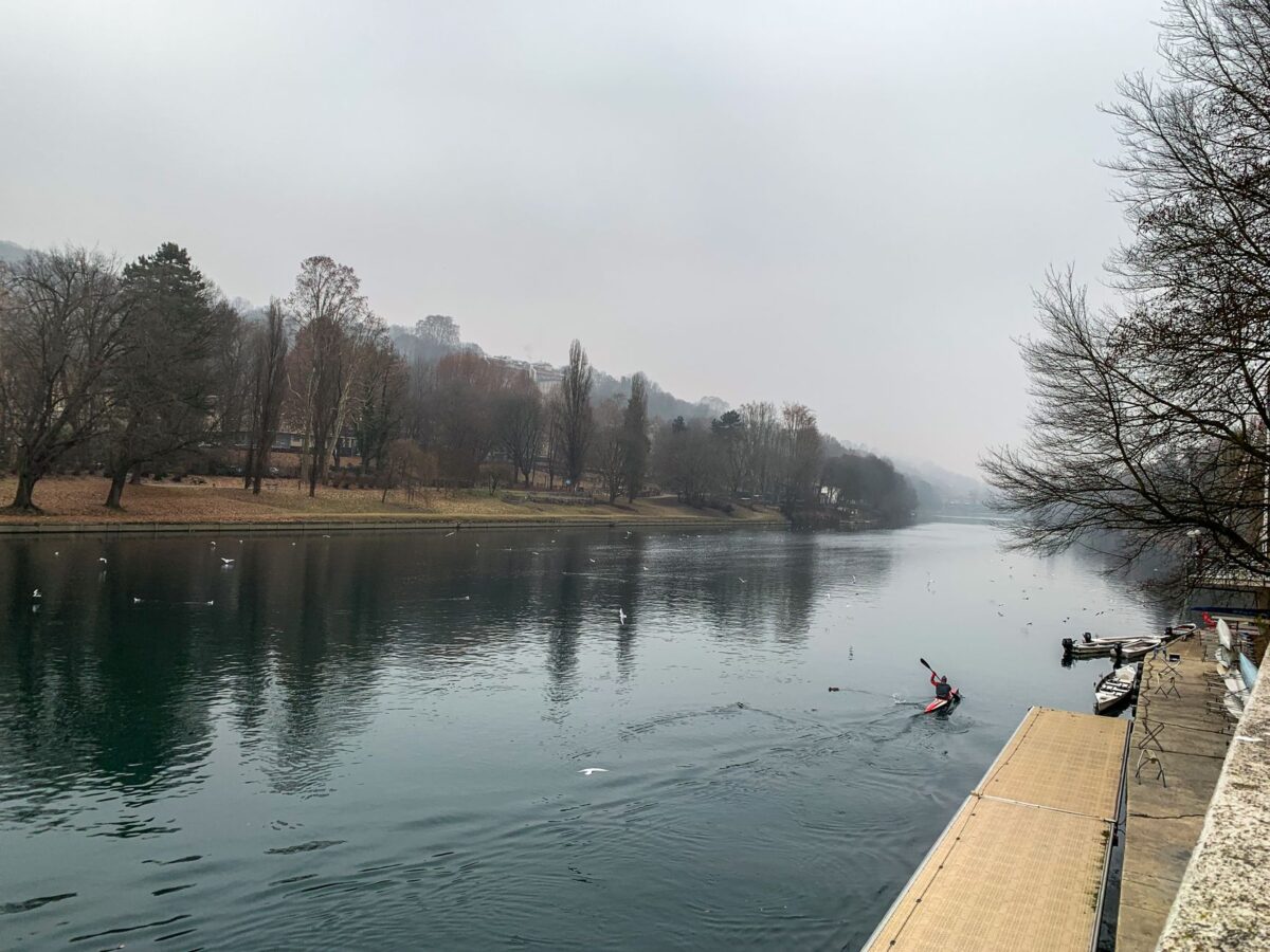 régionale aviron castrais renforts changent vraiment