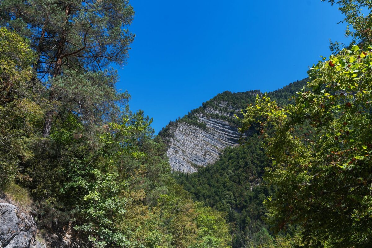 régionale occitanie poule baronnies viser sommets