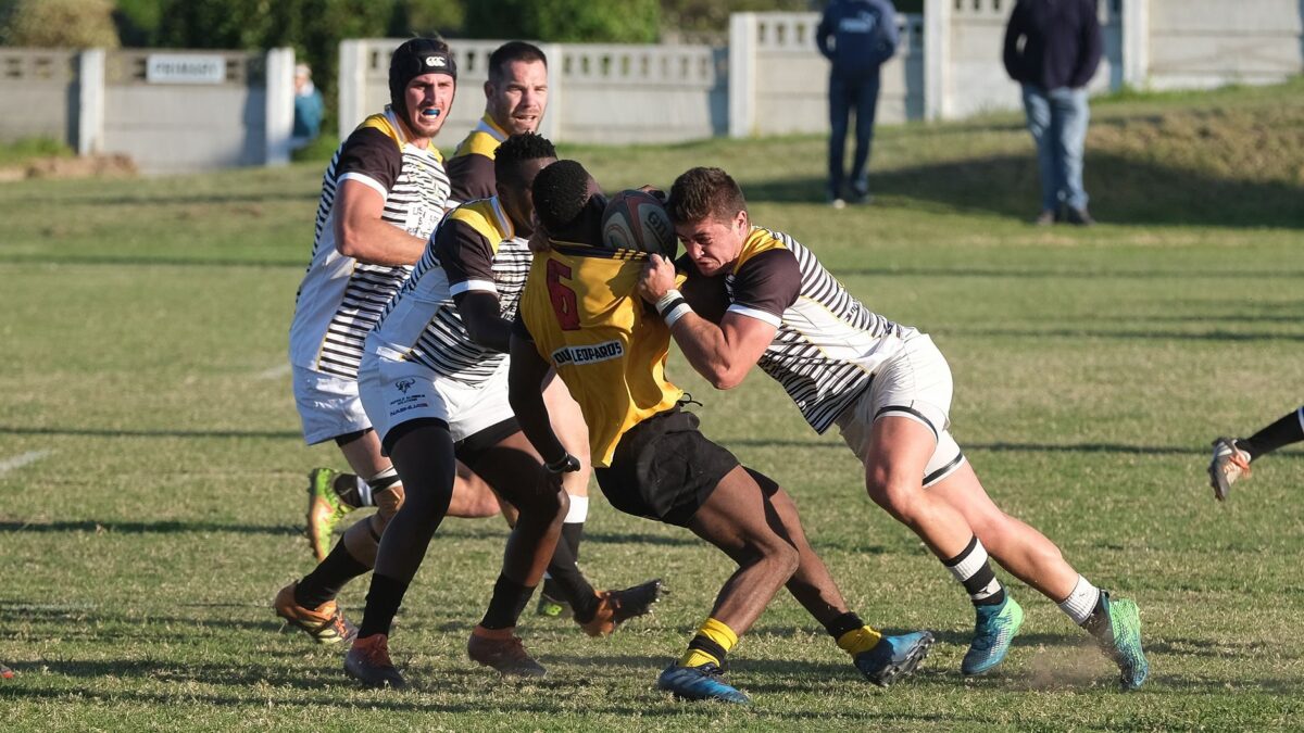 promotion régionale rugby bases ont été