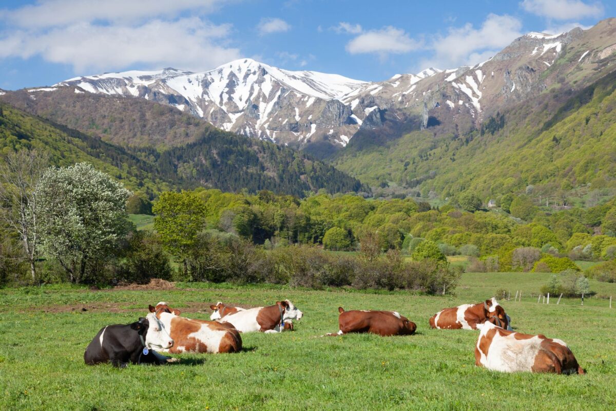 régionale auvergne rhône briançon doit renoncer